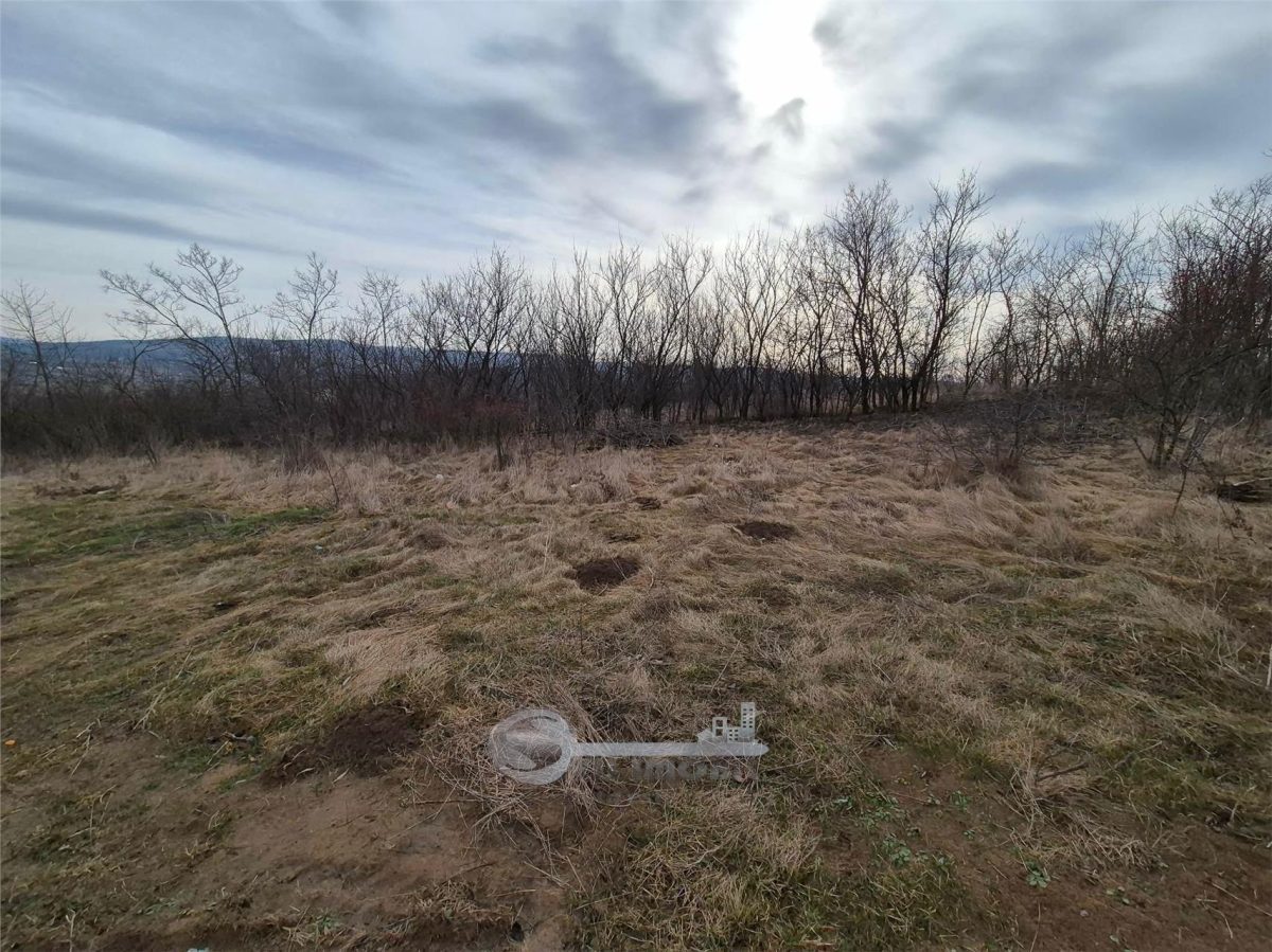 TEREN INTRAVILAN CIUREA 493 MP - foto 5