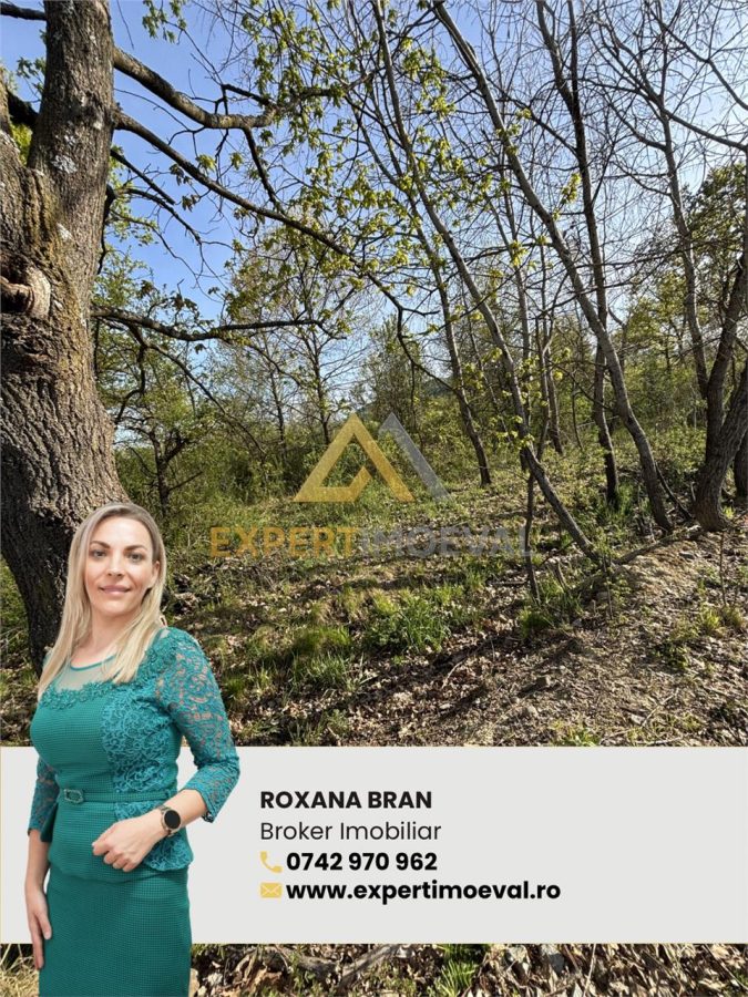 Teren intravilan 667 mp strada 11 Tautii Magheraus - foto 1