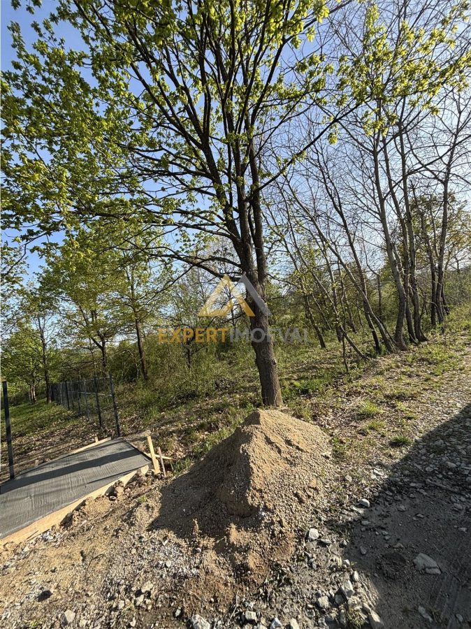 Teren intravilan 667 mp strada 11 Tautii Magheraus - foto 2