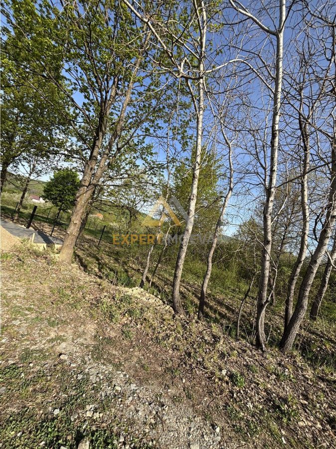 Teren intravilan 667 mp strada 11 Tautii Magheraus - foto 4