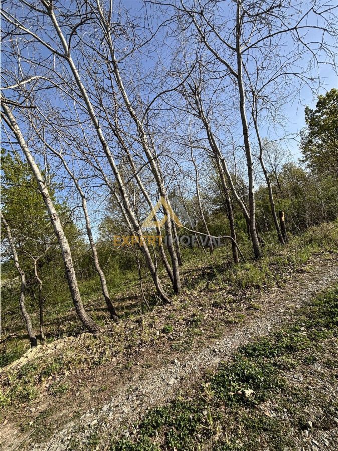 Teren intravilan 667 mp strada 11 Tautii Magheraus - foto 5