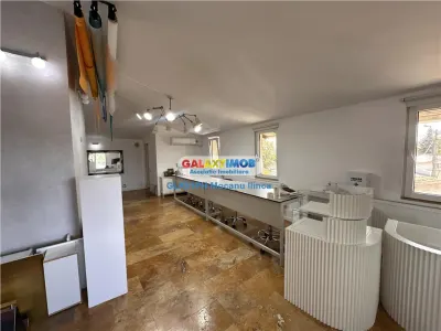 Inchiriere spatiu birouri in Ploiesti, zona Centrala - Rudului - foto 3