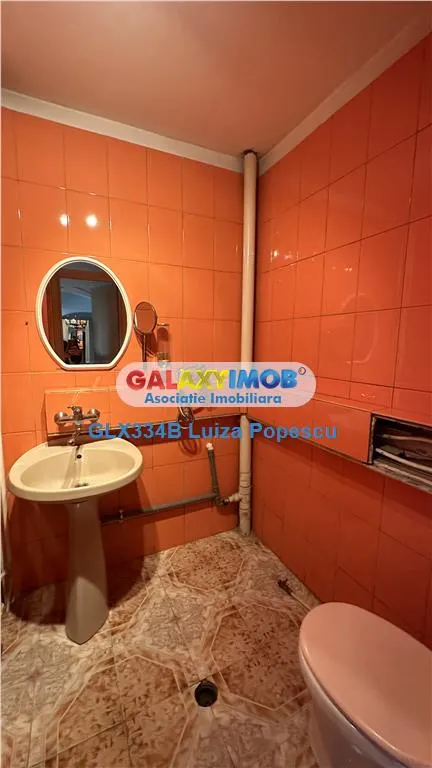 VANZARE APARTAMENT 4 CAMERE TEIUL DOAMNEI-LANGA PARC - foto 11