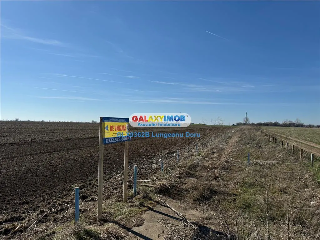 Teren intravilan 47.400 mp, Vama Veche, 200 m de Marea Neagra - foto 12