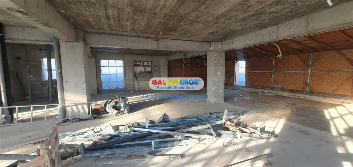 Penthouse  4 camere,500mp Tineretului Parcul Carol - foto 5