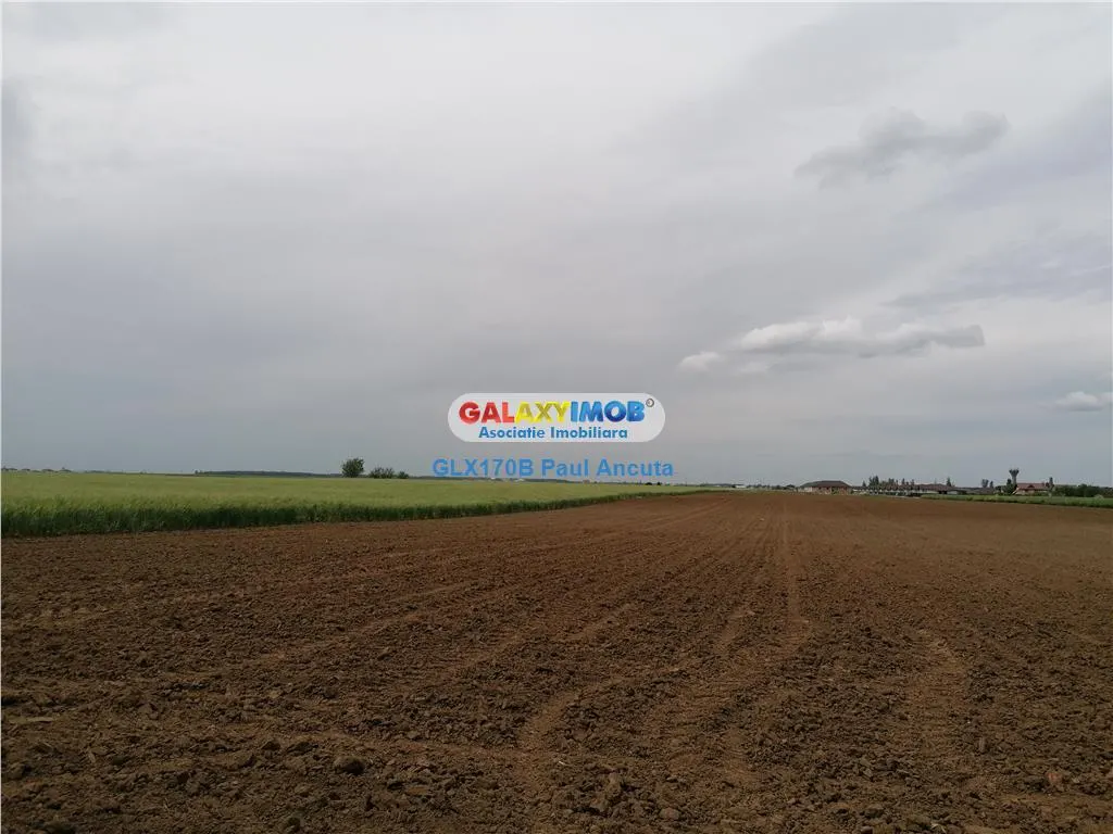 Teren Balotesti 16700 mp apropiere case str Lunii - foto 1