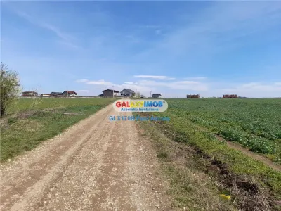 Teren Lac Balotesti 5000 mp intravilan utilitati str Lacului. - foto 1