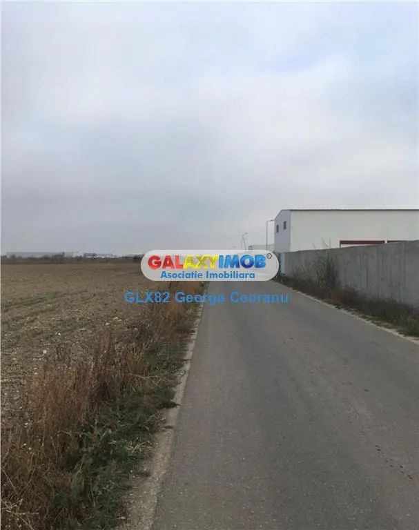 Vanzare teren industrial 10000mp Chitila Rudeni Padurii - foto 1