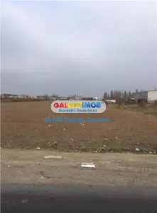 Vanzare teren industrial 10000mp Chitila Rudeni Padurii - foto 3