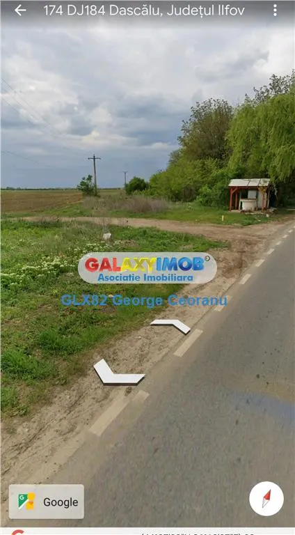 Vanzare teren 8800mp Dascalu Moara Vlasiei padurea Biglaru - foto 1