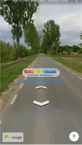 Vanzare teren 8800mp Dascalu Moara Vlasiei padurea Biglaru - foto 3