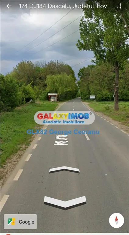 Vanzare teren 8800mp Dascalu Moara Vlasiei padurea Biglaru - foto 6