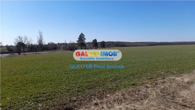 Teren Lac Padure Saftica 16800 mp cu acces 72m - foto 1