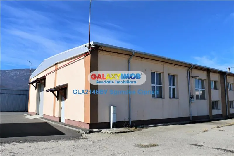 Hala industriala spatiu depozitare 420 mp si birou 145 mp - foto 1