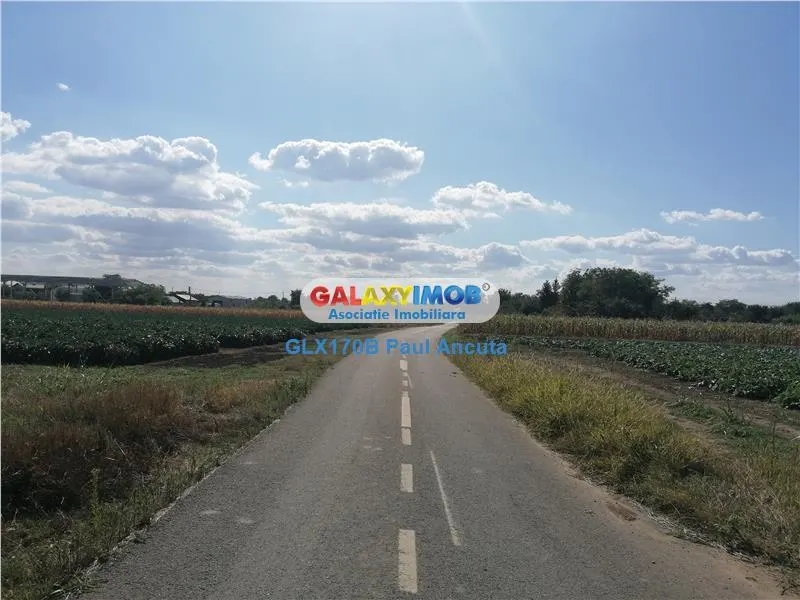 Teren Gruiu Nuci  15300 mp la sosea langa sat - foto 1