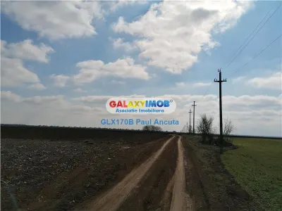 Teren Balotesti str Fabricii 28800 mp  canalizare - foto 1