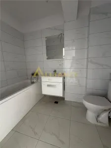 STUDIO DE VANZARE - STRADA BIRUINTEI - foto 11