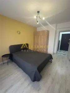 Metrou Berceni,  Biruintei, studio mobilat cu balcon - foto 22