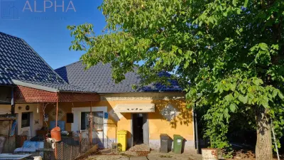 Casa traditionala + teren generos 2400 mp | 11 km de Bistrita  - foto 3