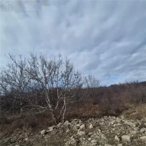 Teren intravilan de vanzare â€“ Sigmir, Str. Soarelui - foto 4