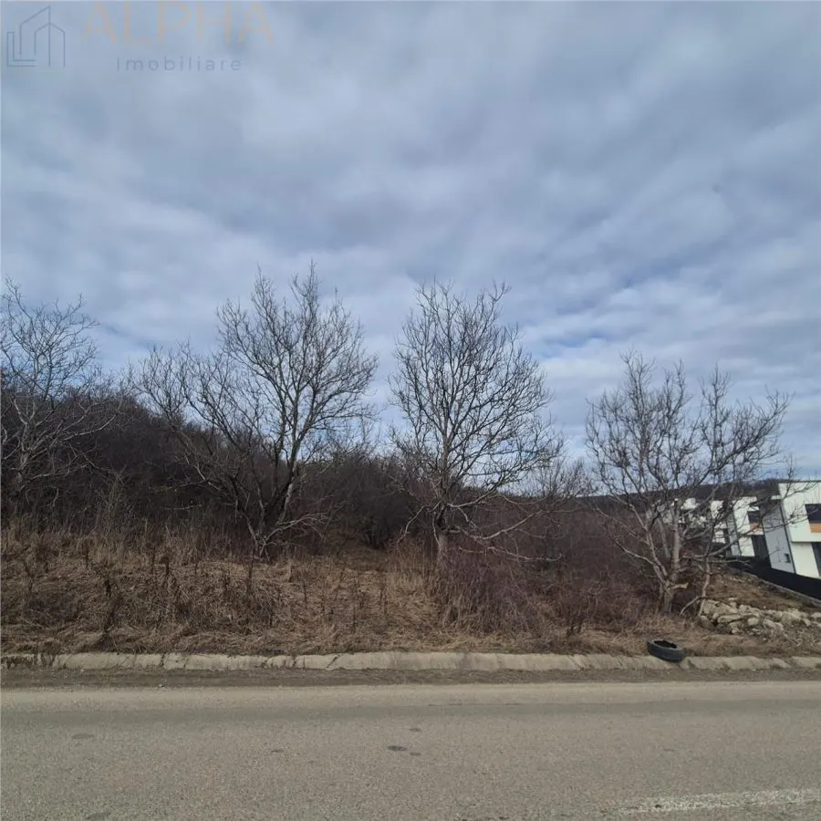 Teren intravilan de vanzare â€“ Sigmir, Str. Soarelui - foto 7