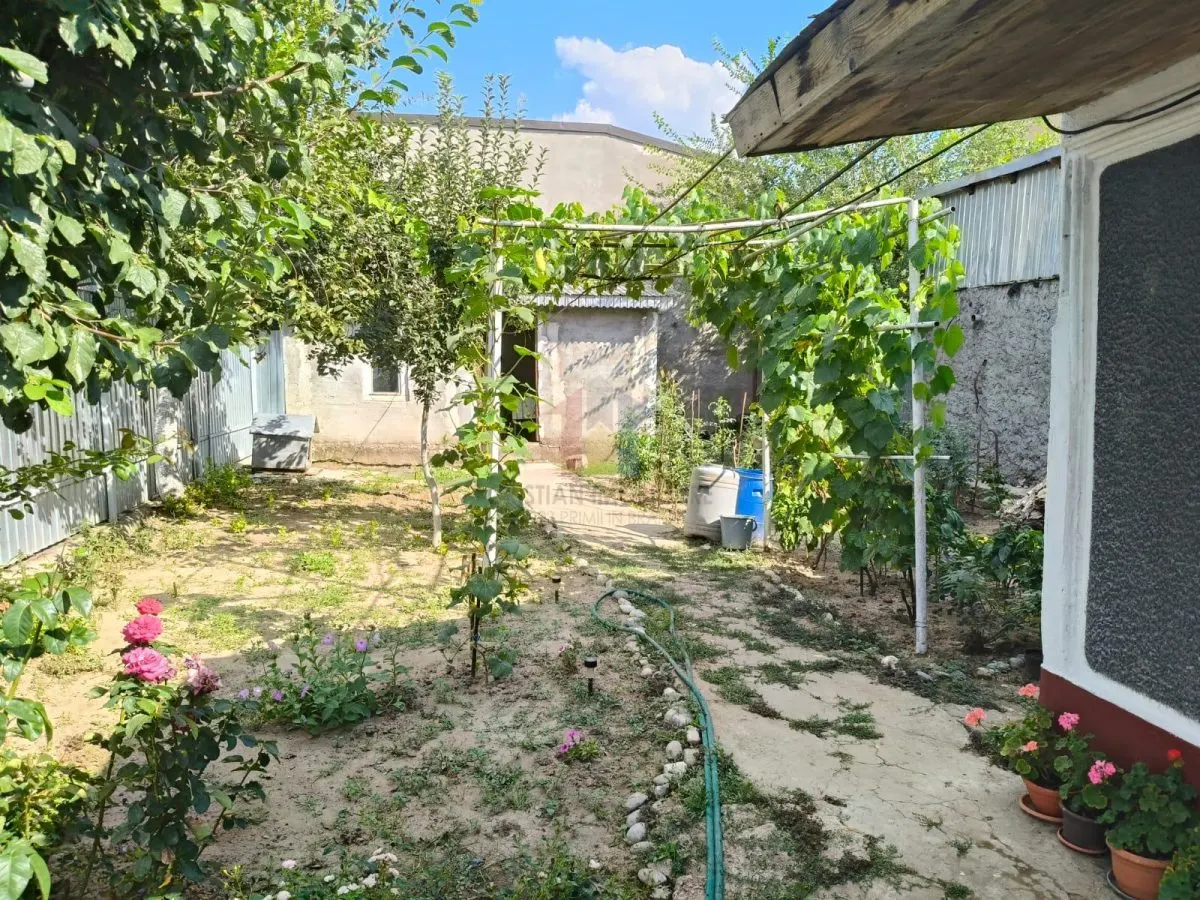 Radu Negru - Buzaului in spate la Penny Casa 4 cam Teren - 264 mp - foto 4
