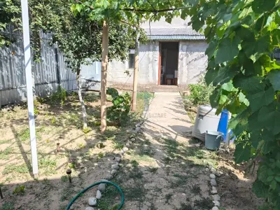 Radu Negru - Buzaului in spate la Penny Casa 4 cam Teren - 264 mp - foto 9