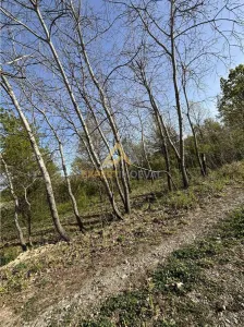 Teren intravilan 667 mp strada 11 Tautii Magheraus - foto 5
