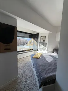 Vand apartament cu 2 camere Ultracentral vedere in parcul Mara - foto 2