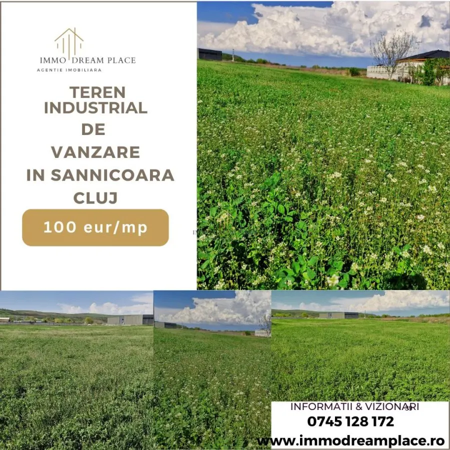 Teren de vanzare in Sanicoara in zona cu destinatie industriala - foto 1