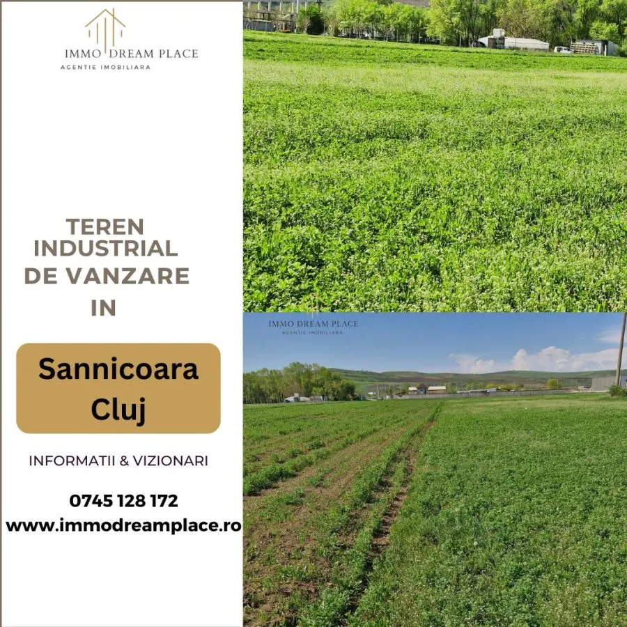 Teren de vanzare in Sanicoara - destinatie industriala - foto 1