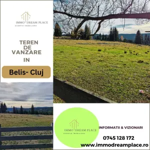 Teren de vanzare in Belis - foto 1