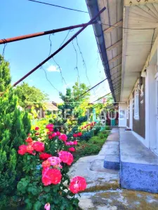 Casa la tara si teren intravilan, in sat Carja, jud Vaslui - foto 4