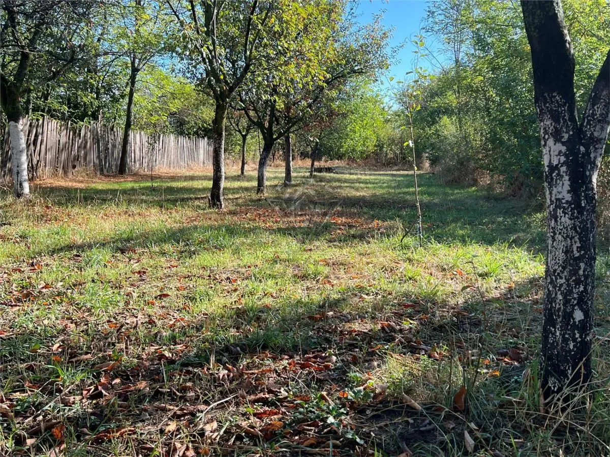 Casa de vanzare in Cocorastii Caplii la 7 KM de Campina - foto 13