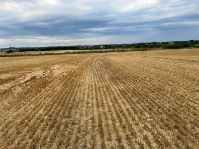 Teren intravilan 7100 mp de vanzare in Paulesti, Cocosesti â€“ ideal pentru locuinte P+2E - foto 4