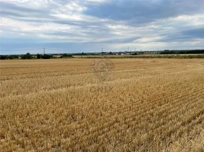 Teren intravilan 7100 mp de vanzare in Paulesti, Cocosesti â€“ ideal pentru locuinte P+2E - foto 7