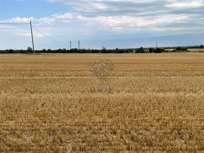 Teren intravilan 7100 mp de vanzare in Paulesti, Cocosesti â€“ ideal pentru locuinte P+2E - foto 8