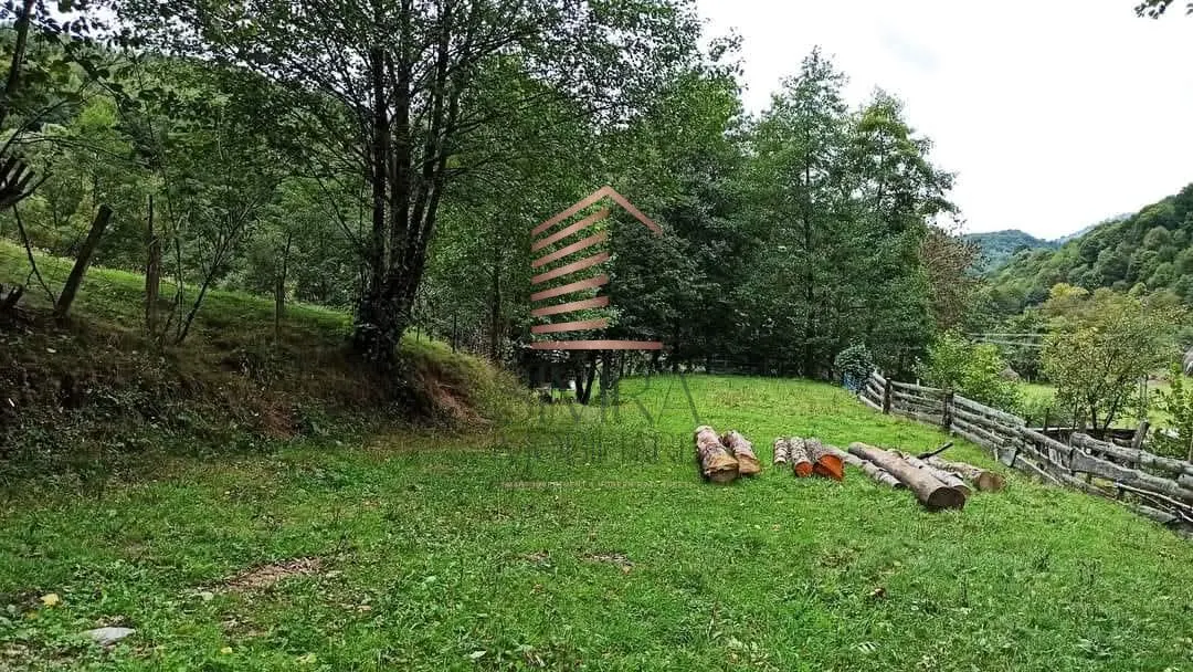 Teren extravilan de 1050mp, Bulz - foto 1