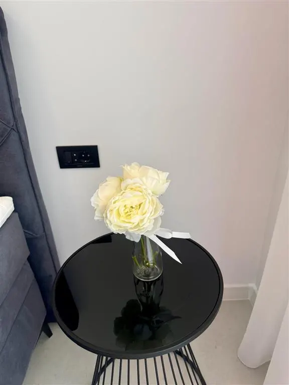 Inchiriere apartamet 2 camere bloc nou, Paulesti - foto 18
