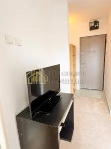GARSONIERA IEFTINA SI BUNA - TEIUL DOAMNEI - 4/10 - INVESTITIE - foto 2