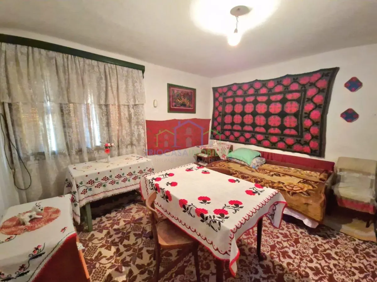 CASA DE VANZARE 3 CAMERE - IN SCAIESTI  - DOLJ - foto 7