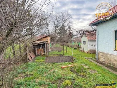 Casa traditionala, cu 709 mp teren intravilan zona apreciabila, Sfantu Gheorghe - foto 11