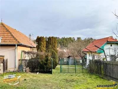 FILM! Oaza ta de liniste pe 0.5ha teren intravilan, Dalnic, Covasna - foto 11