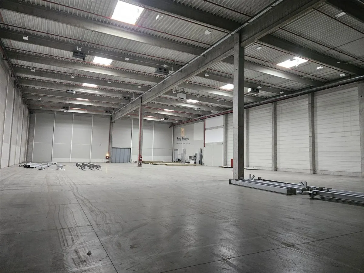 Spatiu Industrial - 4200 mp - Logistica - Productie - Depozitare - Distributie - foto 11