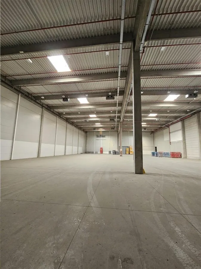 Spatiu Industrial - 4200 mp - Logistica - Productie - Depozitare - Distributie - foto 4