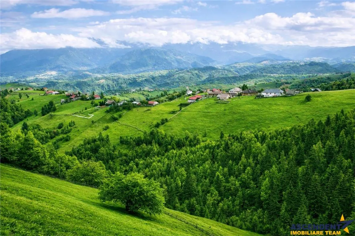 7.000 mp, pozitie spectaculoasa, fara vecini, Fundatica, Brasov - foto 1