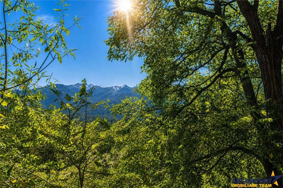 Liniste, natura, priveliste, aer de vacanta, intimitate, potential turistic, Bran, Brasov - foto 12