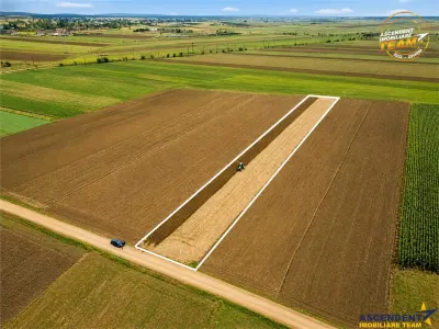 FILM! In areal linistit, acces facil, 4.200 mp  teren extravilan, Covasna - foto 3