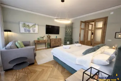 Refugiu urban lux, apartament spectaculos pe aleea pietonala a Postavarului,Centrul Istoric - foto 7