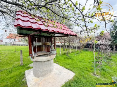 Casa cu farmec rustic + teren privat de 3.315 mp, Borosneul Mic, Covasna - foto 15
